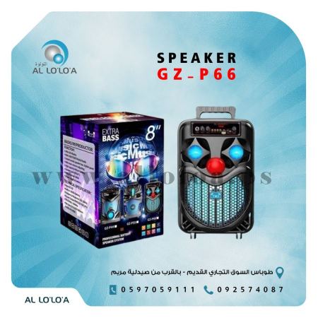 سماعة 8 انش Speaker 8" GZ-P66